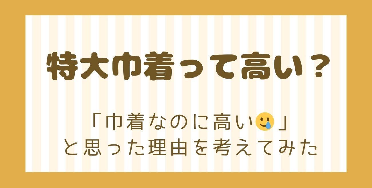 特大巾着って高い？｜「巾着なのに高い🥲」と思った理由を考えてみた